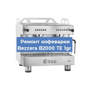 Чистка кофемашины Bezzera B2000 TE 1gr от кофейных масел в Красноярске